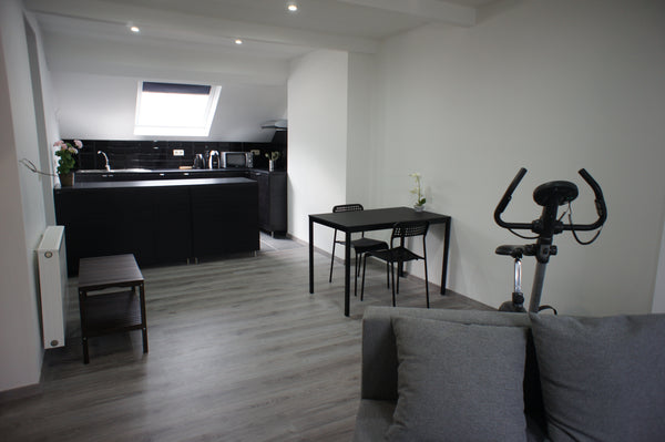 Renovated apartment on the third floor of a little building<br />Very well locat Schaerbeek, Belgium Bel Appart Berlaymont Quartier EU (Fuji) Entire rental unit vacation rental 20678823