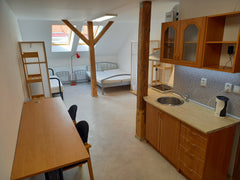 Loft studio in a great location. Perfect connections to city center with public   Lovely loft studio in Praha 3 Žižkov Entire loft vacation rental 601318646022229715