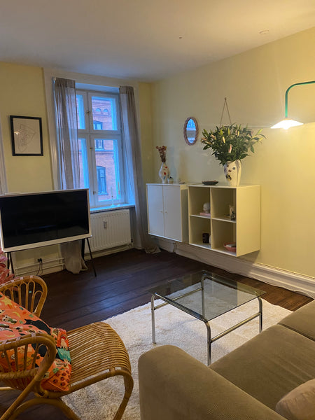 Nice apartment for 2 people. It has a big livingroom, kitchen, bedroom and a bat Copenhagen, Denmark Cosy apartment Entire rental unit vacation rental 24747090