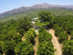 KaliVie is a beautiful, stone-built farmhouse, completely renovated. It is an id  Farm House in Bio Οrange Plantation Farm stay vacation rental 12316820