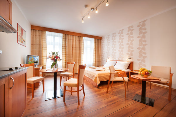 Wood style cosy Studio for up to two people with own kitchen unit small hall and  Studio Standard Apartments 114 - Nádražní Entire serviced apartment vacation rental 44245018