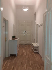 Diese sehr ruhige etwa 100qm große Wohnung liegt nur wenige Minuten zu Fuß vom Z Vienna, Austria Apartment  Alina Entire rental unit vacation rental 38404118