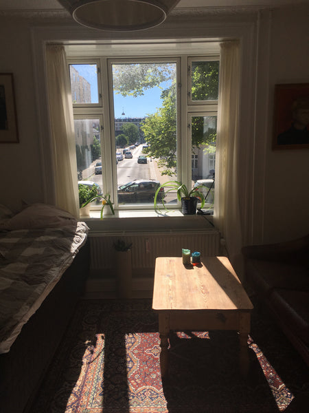 Vores hyggelige to-værelses er fyldt med planter og gammeldags møbler og ligger  Copenhagen, Denmark Vores hyggelige lejlighed på Indre Østerbro Entire rental unit vacation rental 46366293
