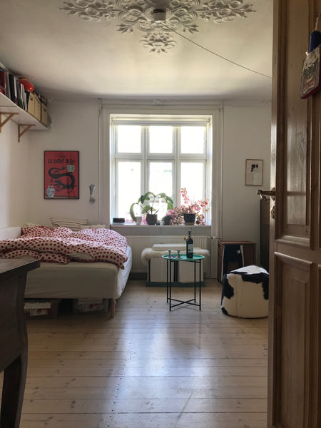 We are renting out our apartment, which is a lovely spacious place with lots of  Copenhagen, Denmark Charming spacious apartment by the water Entire rental unit vacation rental 3199602