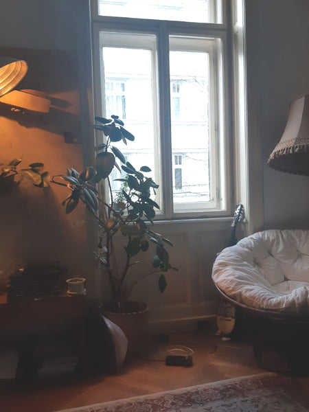 Hey! <br /><br />welcome to my little student single-bedroom apartment. All you  Vienna, Austria Gemütliche Studentenwohnung - Simple student flat Entire rental unit vacation rental 40717353