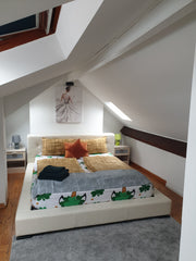 Keep it simple a fully furnished 2 - Bedroom Flat on 3rd floor with rooftop view Brussels, Belgium 2 - Bedroom Apartment with Terrace in Ixelles Entire condo vacation rental 648589403505713946