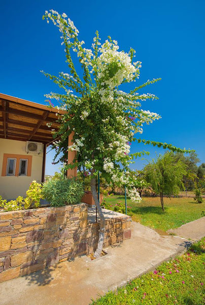 VILLA ELLE is a fully equipment comfortable house with private garden and free p Afantou, Greece VILLA ELLE Entire home vacation rental 12677356