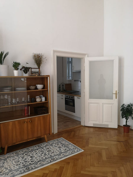 Stay in our cozy and quiet Apartment in the middle of vienna! The flat is in a b  Cozy & quiet flat near Mariahilferstraße Entire rental unit vacation rental 45098101