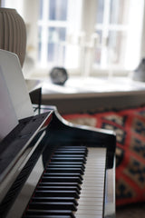 Vi bor i en smuk lejlighed med udsigt til have og søerne. <br />Lejligheden er i Copenhagen, Denmark Perfekt lejlighed til den store børnefamilie Entire condo vacation rental 27488317