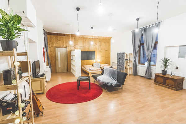 Spacious appartment with view to Vitkov Park. Situated in a house with two rehea Hlavní město Praha, Czechia Art and Music Atelier with a view to Park Vítkov Entire rental unit vacation rental 30125811
