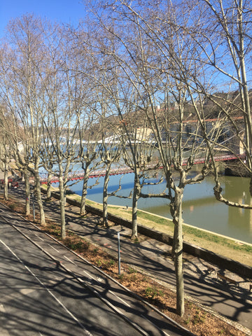 Appartement vaste et calme sur les quais avec vue imprenable sur la Saône, situé Tassin-la-Demi-Lune, France Lyon, appart. spacieux avec vue Saône proche métro Entire rental unit vacation rental 593170491208414838