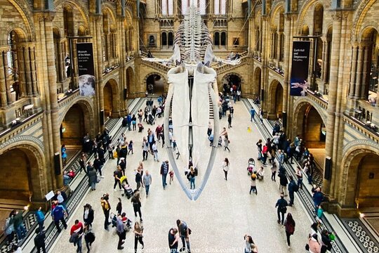 Private Tour of London's Kensington & Natural History Museum  Private Tours and Travel Guide Europe London CITY London Destination Tour