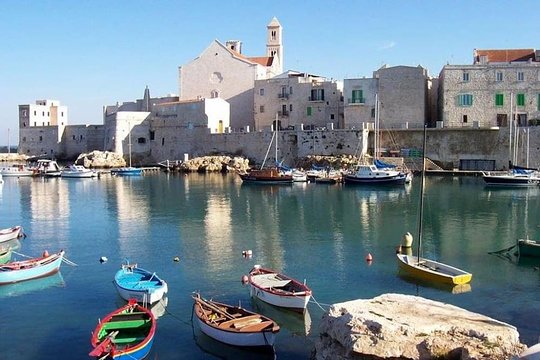 Walking Tour Of Giovinazzo With An Expert Guide  At The End Of The Tour Tasting  Private Tours and Travel Guide Europe Rome CITY Matera Destination Tour