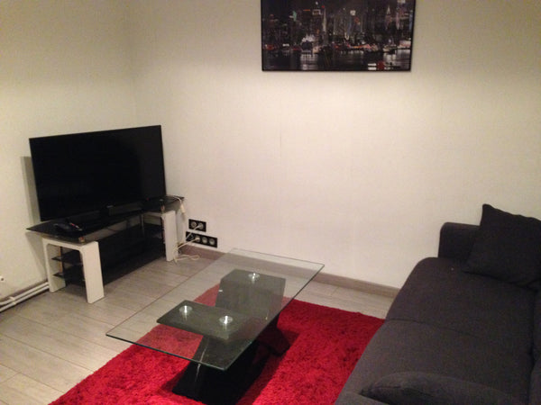 Appartement cosy de 30m2 avec une chambre séparée. Cuisine ouverte sur le salon. Paris, France appartement bluets Entire rental unit vacation rental 19379777