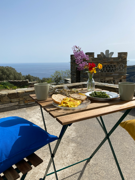 The apartment is bright, airy and pleasant and it is located within 10-acre esta Greece Andros Vineyard house with sea view Entire rental unit vacation rental 18787718