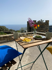 The apartment is bright, airy and pleasant and it is located within 10-acre esta Greece Andros Vineyard house with sea view Entire rental unit vacation rental 18787718