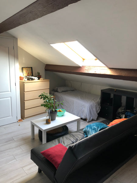 Petit studio sous les toits dans au centre de Lyon. <br />Très lumineux et cosy  Lyon, France Petit studio cosy et lumineux en centre ville Entire rental unit vacation rental 30945027