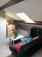 Petit studio sous les toits dans au centre de Lyon. <br />Très lumineux et cosy  Lyon, France Petit studio cosy et lumineux en centre ville Entire rental unit vacation rental 30945027