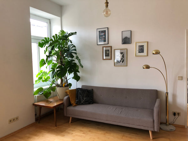 This flat is centrally located, close to all sorts of public transport, with a p Vienna, Austria Lovely 1-bedroom flat in Vienna's hip centre Entire rental unit vacation rental 587735119117478068