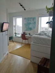 Lejligheden byder på alle nødvendigheder: mini-ovn, komfur, brusebad m.m. Ikke m Copenhagen, Denmark A flawless sunset view in a cozy studio apartment Entire rental unit vacation rental 620211117410079993
