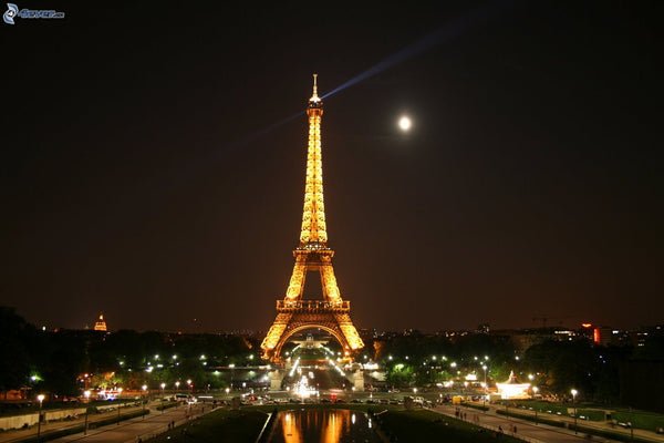 Prestigious flat with all what you need to enjoy your time in Paris. <br />Diffe Paris, France Perfect flat near the eiffel tower Entire rental unit vacation rental 7237280
