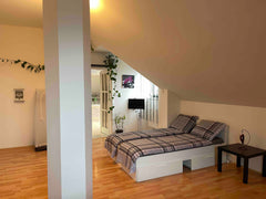 Tohle stylové ubytování je ideální pro Vás, byt s klimatizaci, a kompletně vybav  Útulny podkroví byt s velkou koupelnou Entire loft vacation rental 54234579