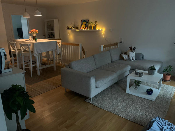 Apartment 150 sqm divided into 2 floors<br /> 1st floor: 2 room avaiable for ren Copenhagen, Denmark The bulldog house Private room in casa particular vacation rental 52666668
