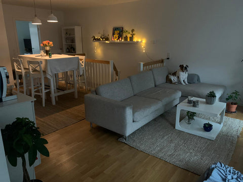 Apartment 150 sqm divided into 2 floors<br /> 1st floor: 2 room avaiable for ren Copenhagen, Denmark The bulldog house Private room in casa particular vacation rental 52666668