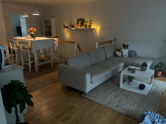 Apartment 150 sqm divided into 2 floors<br /> 1st floor: 2 room avaiable for ren Copenhagen, Denmark The bulldog house Private room in casa particular vacation rental 52666668