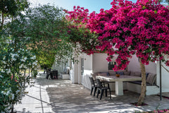 Wake up to the birds' chirping. Enjoy your morning coffee among the trees with t Heraklion, Greece Vrisidia Cottage ★ Nature, Seaview & Relax Entire cottage vacation rental 620646175799962975