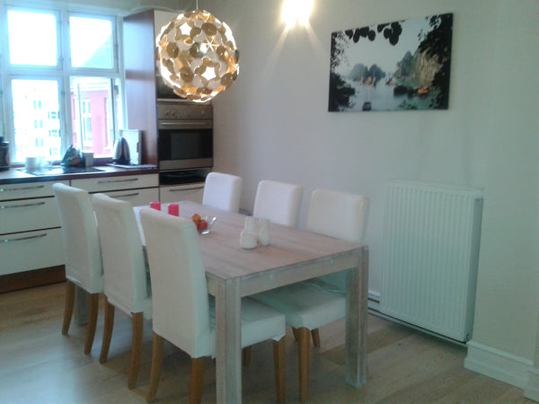 Gorgeus 60 kvm 2 room appartment in Copenhagen.<br />Newly renovated,  weelkept, Copenhagen, Denmark Gourgeus appartment - in Copenhagen Entire rental unit vacation rental 3732325