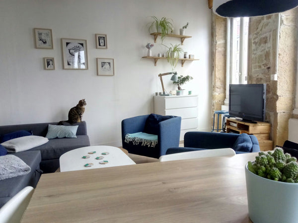 Appartement ancien, spacieux et lumineux, que nous avons fraîchement rénové.<br  Lyon, France Appartement avec cachet à Valmy Entire rental unit vacation rental 11752797