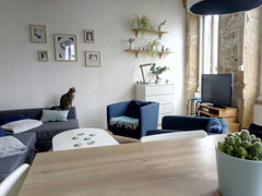 Appartement ancien, spacieux et lumineux, que nous avons fraîchement rénové.<br  Lyon, France Appartement avec cachet à Valmy Entire rental unit vacation rental 11752797