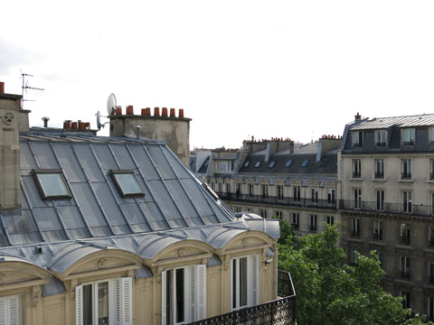 Bohemian gem... 10 windows beam natural light.<br />Large family room with vault Paris, France Rooftop Terrace - Marais/Canal/St. Denis - RARE!!! Entire rental unit vacation rental 3724565