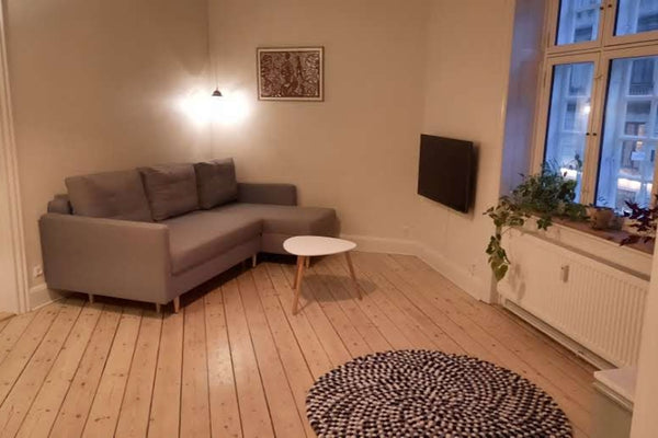 Copenhagen, Denmark Cosy apartment in the center of Copenhagen Entire condo vacation rental 565136213030053632