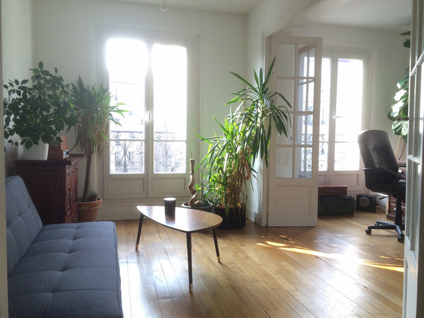 Charmant deux-pièces haussmannien, 36 m², lumineux et agréable. Idéal pour 2 (Li Paris, France Beau 2 pièces, proche transports Entire rental unit vacation rental 5597333