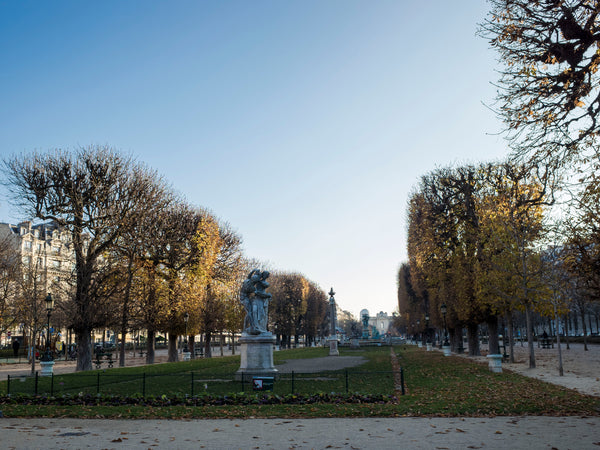 A 1 min des Jardins du Luxembourg, charmant studio situé dans une zone calme. Il Paris, France Fresh and cosy apartement close to the Luxembourg Entire rental unit vacation rental 30104009