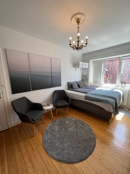 Skøn lejlighed centralt på Nørrebro. <br />Tæt på metroens cityring, S-togs stat  Skøn lejlighed centralt i hjertet af Nørrebro Private room in condo vacation rental 655624203238624671