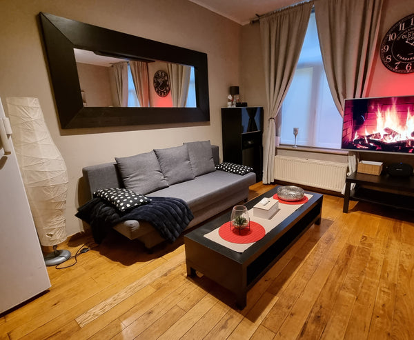 Ce logement unique est proche de tous les sites et commodités, ce qui facilite l  Bruxelles,  nid d'amour Entire rental unit vacation rental 54104765