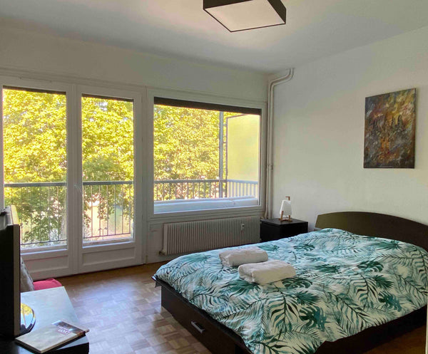 Chambre privée lumineuse, agréable et vraiment confortable avec balcon et belle  Lyon, France Chambre Lumineuse avec belle vue sur La Saône Private room in rental unit vacation rental 45248165