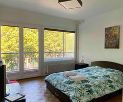 Chambre privée lumineuse, agréable et vraiment confortable avec balcon et belle  Lyon, France Chambre Lumineuse avec belle vue sur La Saône Private room in rental unit vacation rental 45248165