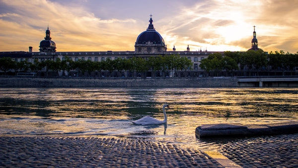 appartement ensoleillé au 5 eme étage<br />proche des quais du Rhône pour flâner Lyon, France trois pièces lumineux Entire rental unit vacation rental 12869873