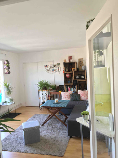 Appartement 2 pièces (42m2), très lumineux, avec grande terrasse (25m2) situé au Paris, France Appartement /Terrasse   Canal &  Buttes Chaumont Entire rental unit vacation rental 23227744