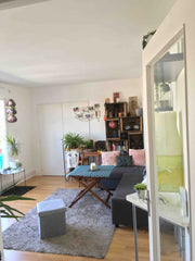 Appartement 2 pièces (42m2), très lumineux, avec grande terrasse (25m2) situé au Paris, France Appartement /Terrasse   Canal &  Buttes Chaumont Entire rental unit vacation rental 23227744