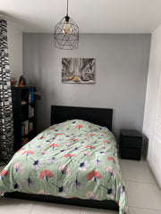 Vous serez au calme dans cette grande et agréable maison de ville, dans le quart Lyon, France Chambre avec sdb privée - grande maison à Montchat Private room in townhouse vacation rental 30436527