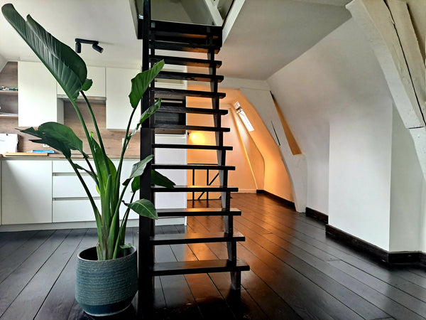 The appartment is situated right in the centre of Antwerp. Exactly where everyth Antwerp, Belgium Cosy renovated loft in the heart of Antwerp city. Entire loft vacation rental 619331160264430405