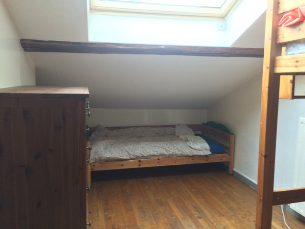 Appartement spacieux et confortable<br /><br /><b>The space</b><br />Logement sp Lyon, France Chambre Private room in rental unit vacation rental 21932051