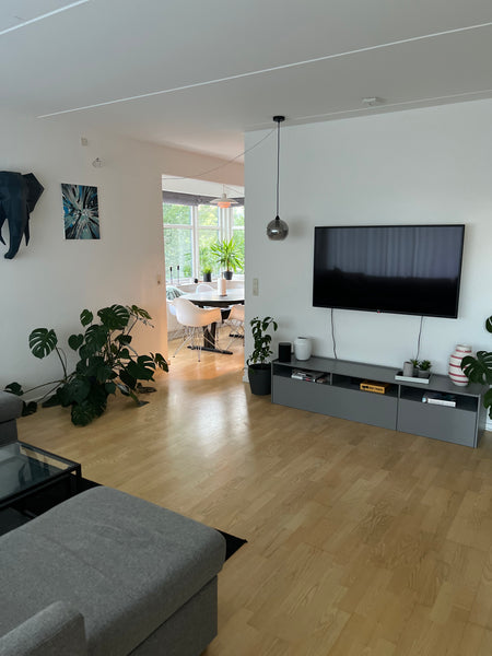 Stor og rummelig lejlighed på 100 kvm på Frederiksberg. <br /><br />Lejligheden   Skøn lejlighed på Frederiksberg Entire condo vacation rental 665213884913275250