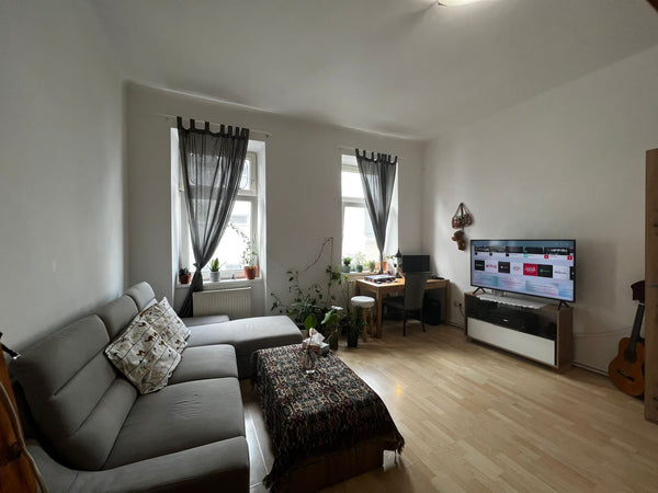 We're renting our Studio we live in at a good price because we're going on vacat  Cozy Studio close to Schönbrunn palace Entire rental unit vacation rental 688402125606039625
