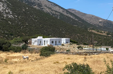 This spacious traditional property is the perfect getaway.<br /><br />Brunch on  The Hague, Netherlands Sifnos Themonies Cycladic home vacation rental 617342240718010878